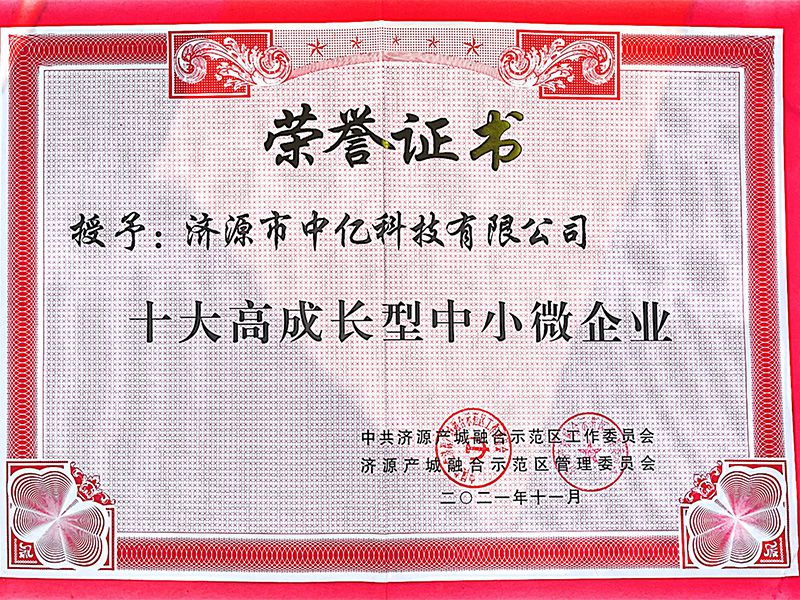 十大高成长型中小微企业